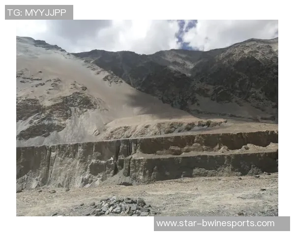 深度探讨杨强在英雄联盟中的成长与挑战之路