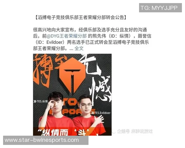 深入解析王者荣耀TES战队的团队协作与默契配合之道